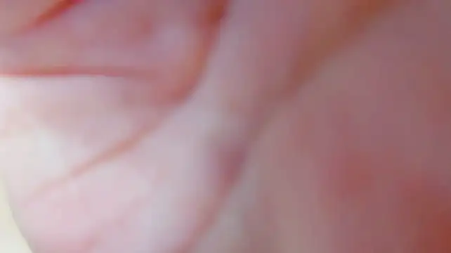 Chubby_Pig99