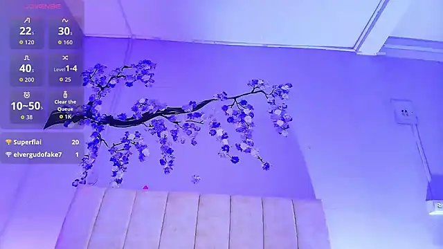 Nikirouse webcam