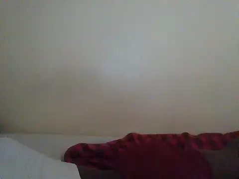 Belfrix webcam