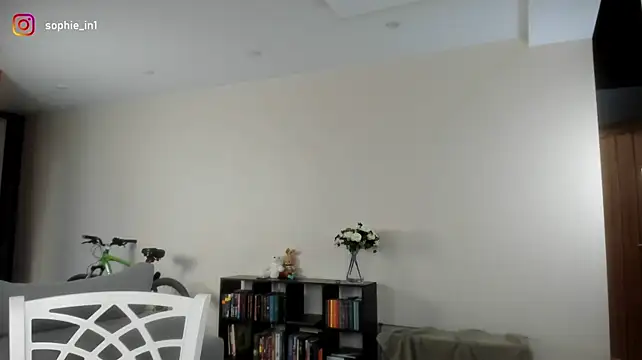 _in_yan webcam