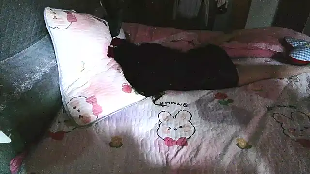 hebe-02 webcam