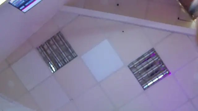 PlayfulShow webcam