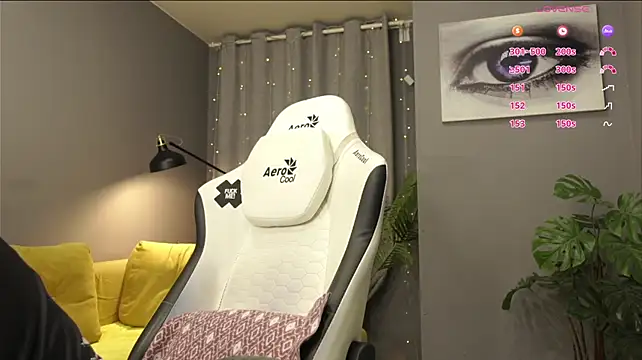 Megany webcam