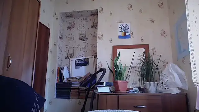 dream_alexa webcam