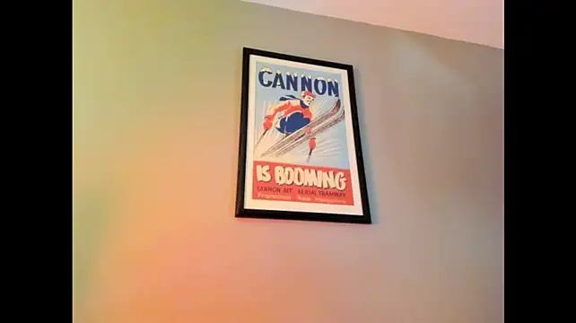 dantes_lion webcam