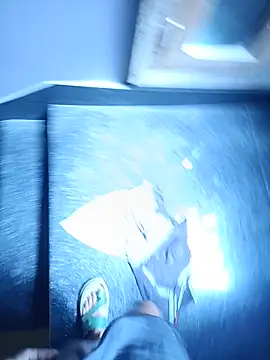 LoggedForint webcam