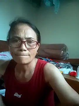 Vieekee webcam