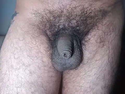 Uncut_Hairy_Dick webcam