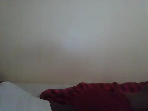 Belfrix webcam
