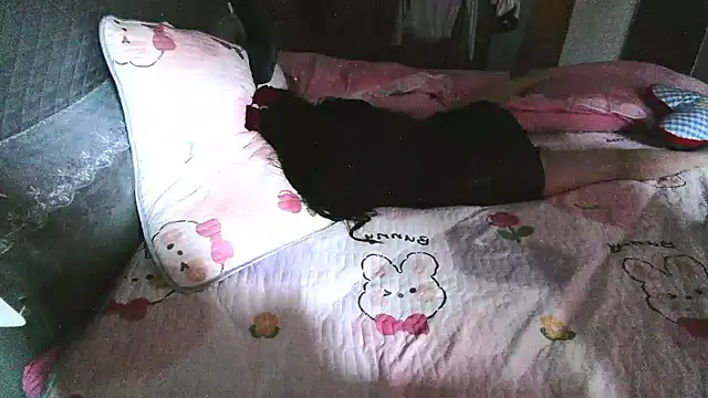 hebe-02 webcam