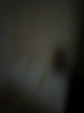 MeladoDiMel