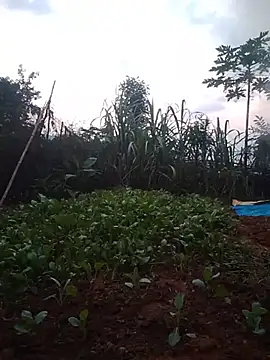 phuongtrinh1