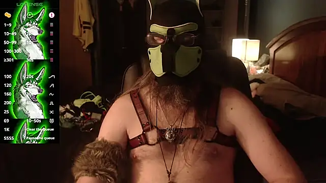 kinkywolf429
