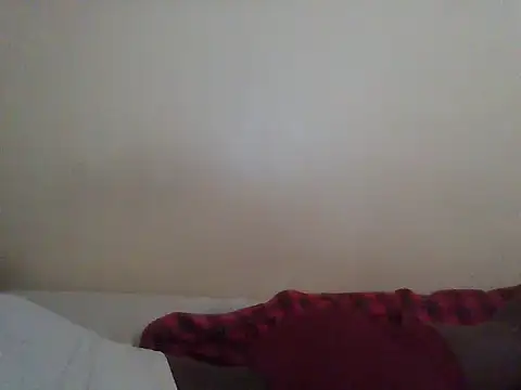 Belfrix webcam