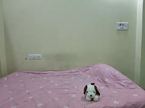 ina-22 live cam preview