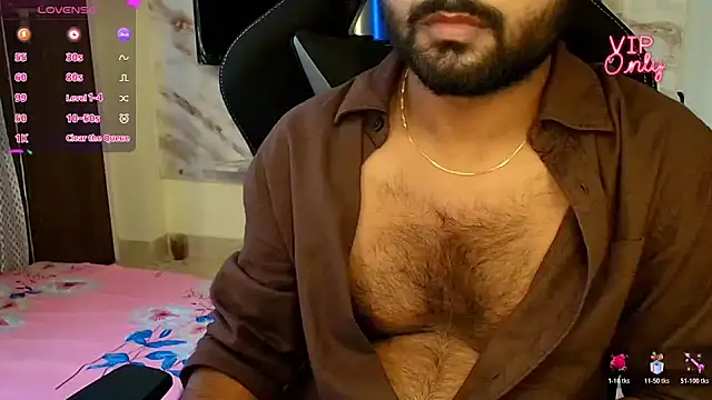 Silvershadde webcam