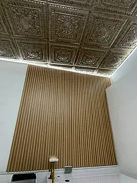 Valka_Zafira
