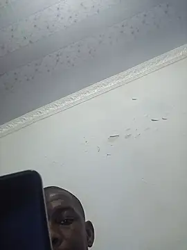 zuludog webcam