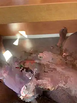 blackdick39 webcam