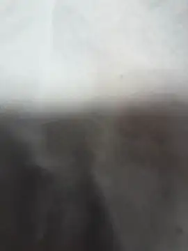 Veterwpole webcam