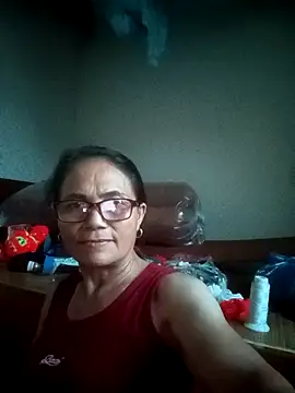Vieekee webcam