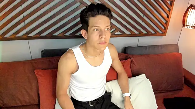 LevinFox webcam