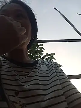 Pan2007a webcam