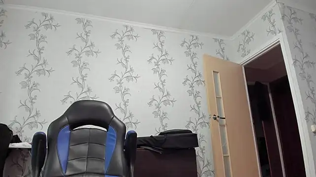 SanFrantsisko webcam