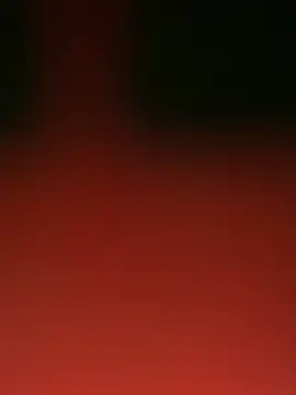camelia3 webcam