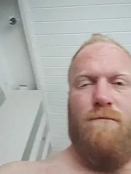 GingerFun webcam