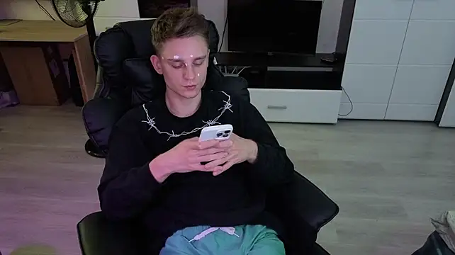 pvlpstvy webcam