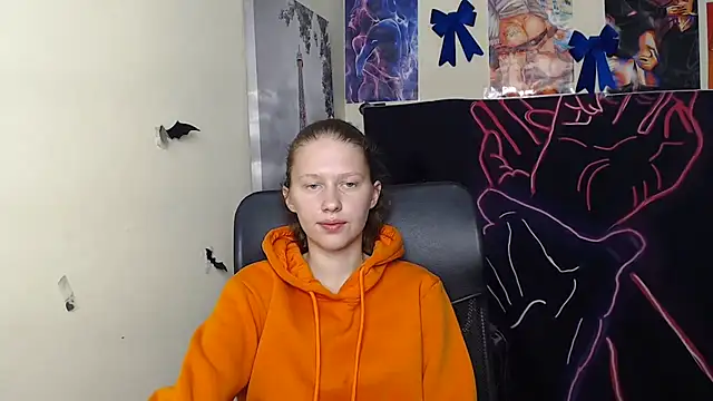 StellaCRL webcam