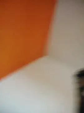 KOLKATA_CALLBOY_MASTER webcam