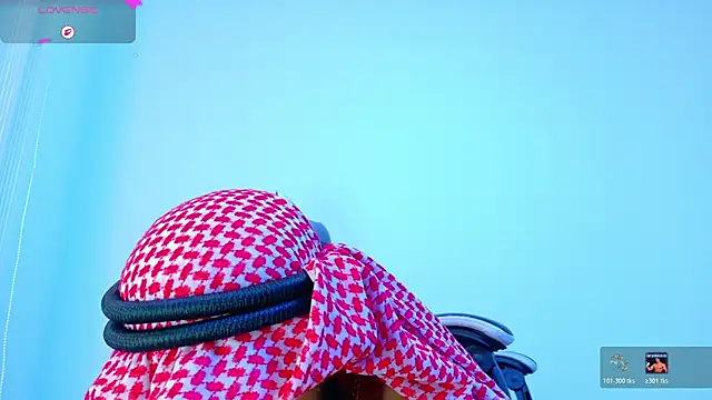 Thaiel_Fosteer webcam