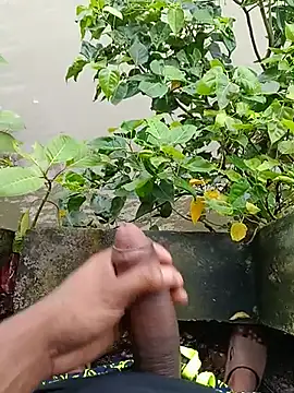 Vikash8240 webcam