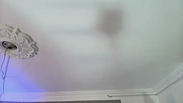 Jhon_and_Karol webcam