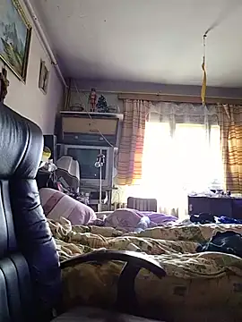 Havannabroklen2 webcam