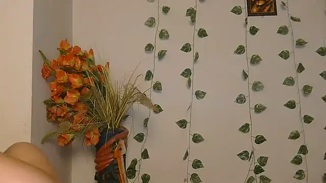 Naira_fit webcam