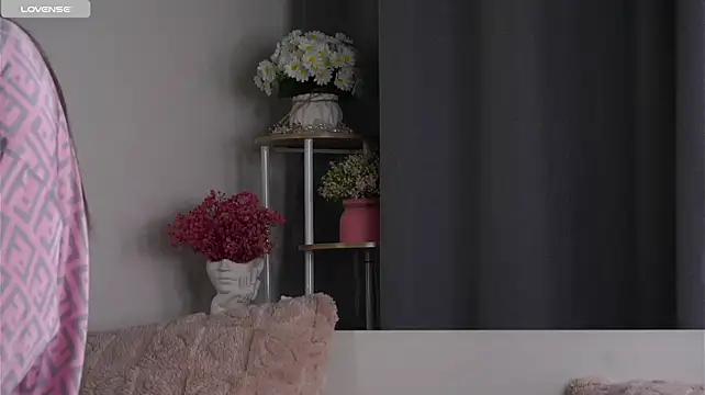 LowOncoming webcam