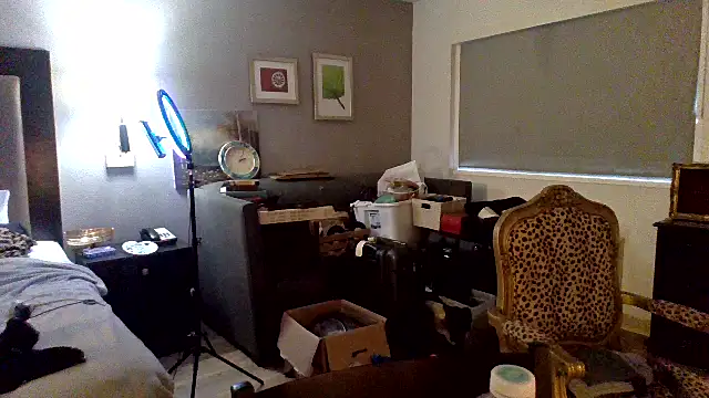 sophiarica webcam