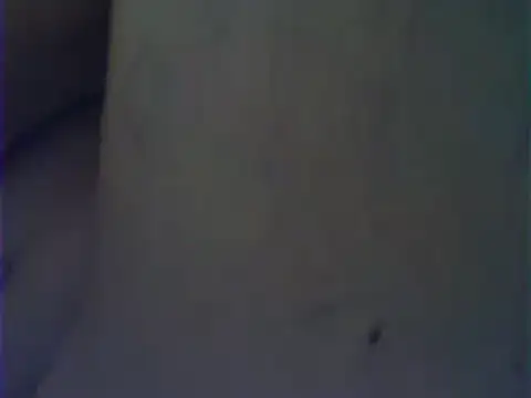 VeneRed webcam