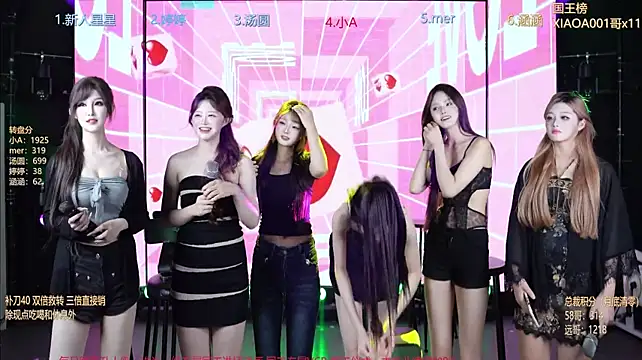 SK010 webcam