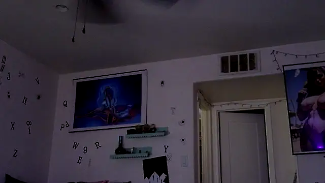 TheRealMrDLlong webcam