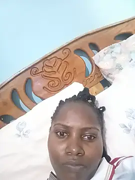 Rilaveta webcam