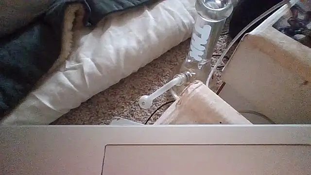 2attract webcam