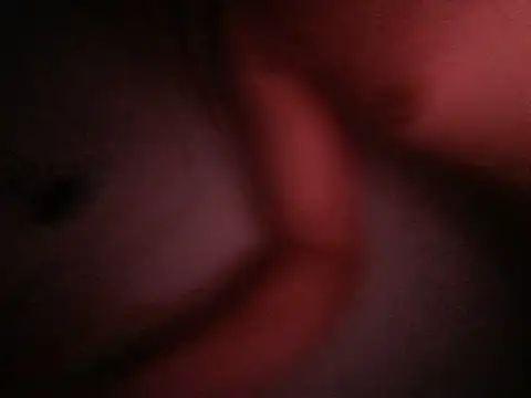 pandaMontana webcam