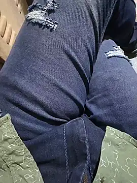 jp8094 webcam