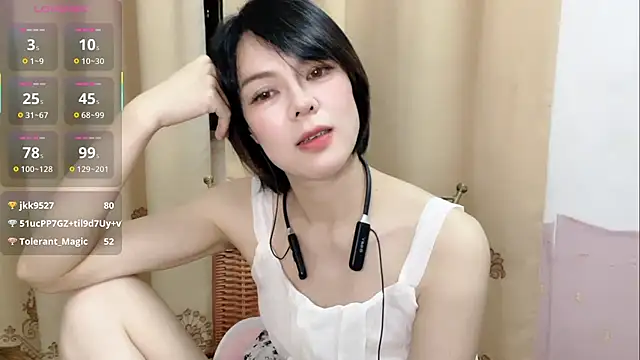 Linda-LL webcam
