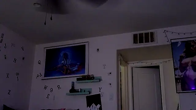 TheRealMrDLlong webcam