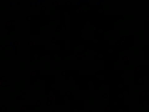 BlackXx666Xx live cam
